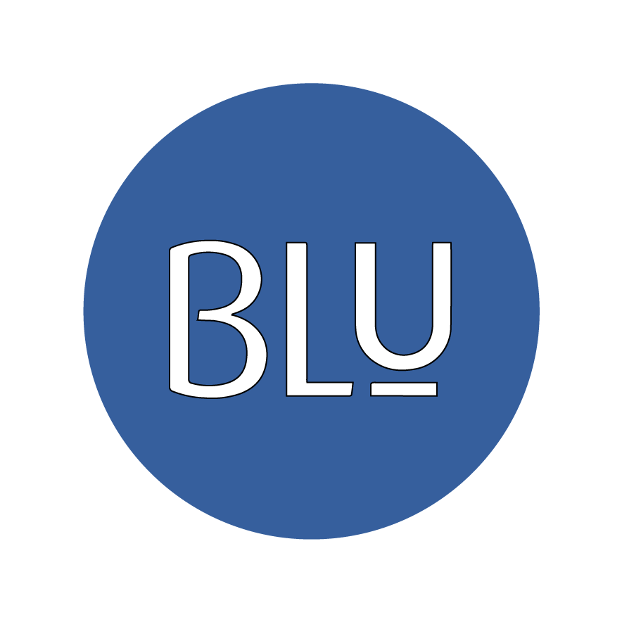 Blu careers logo 2x