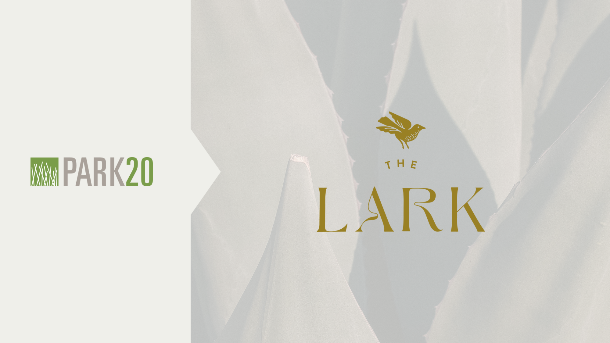 The Lark Brand Before and After