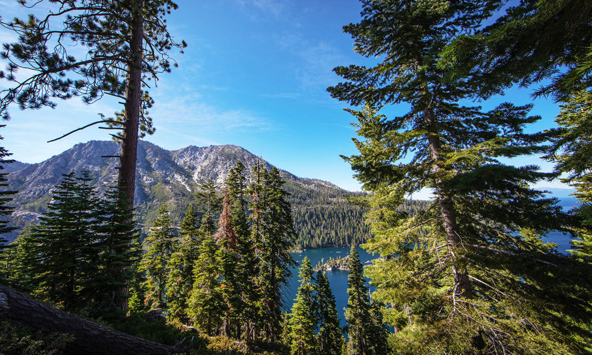 Sierra Vista Northcoast