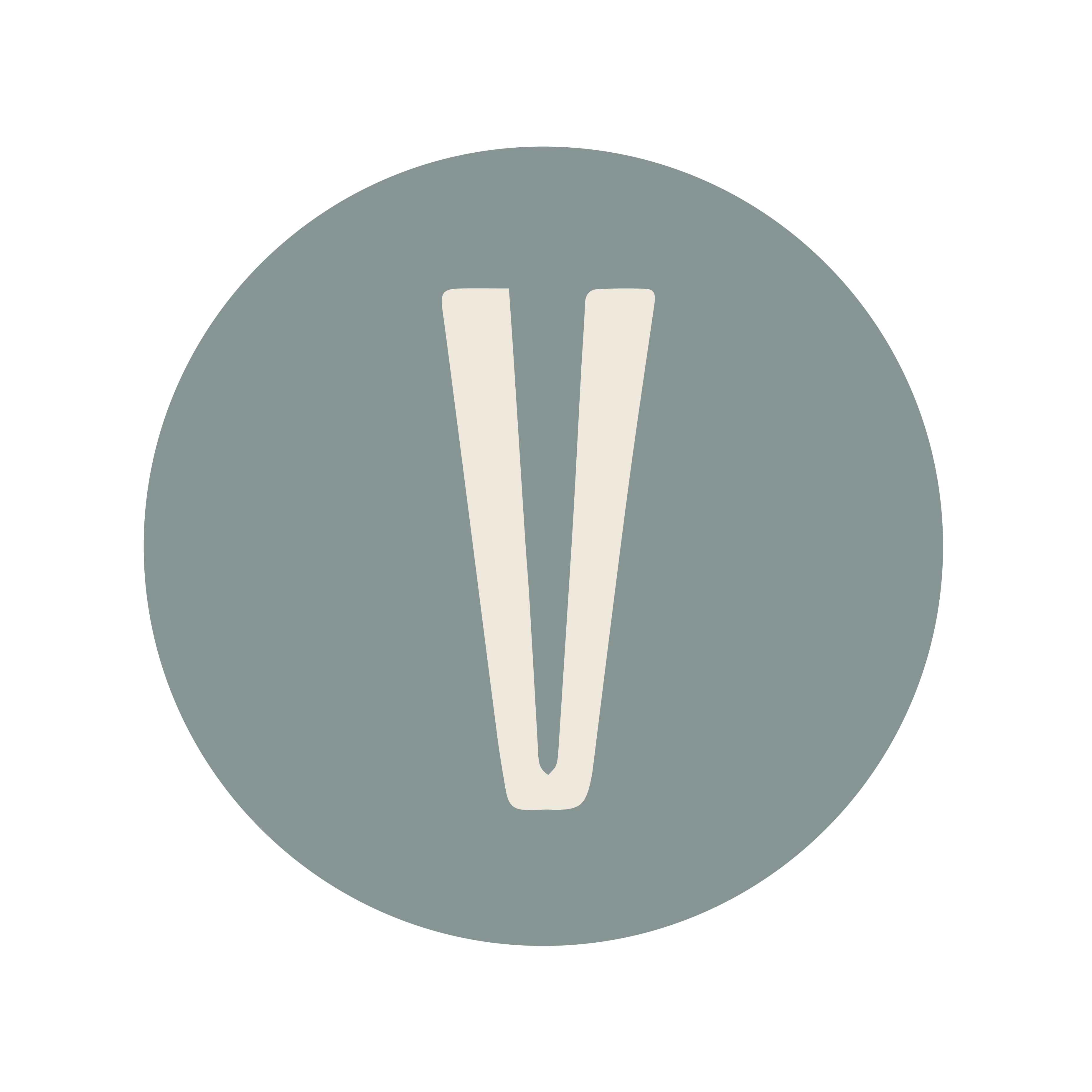 Vilara careers logo updated