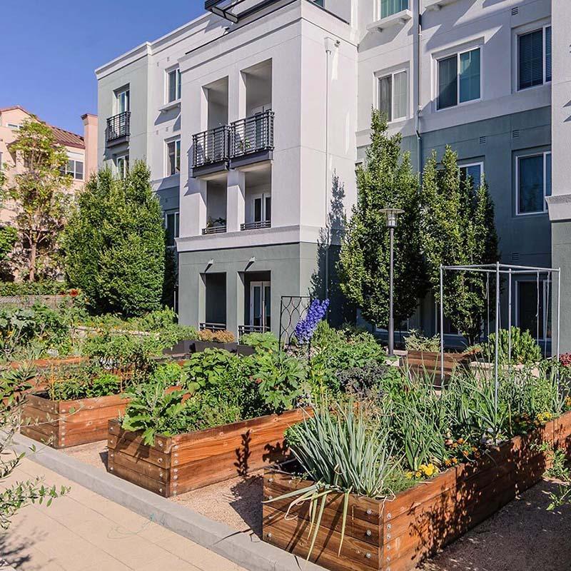 What is the community garden?